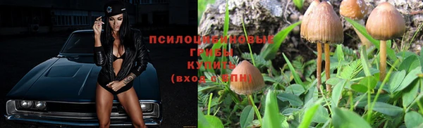 дурь Магадан