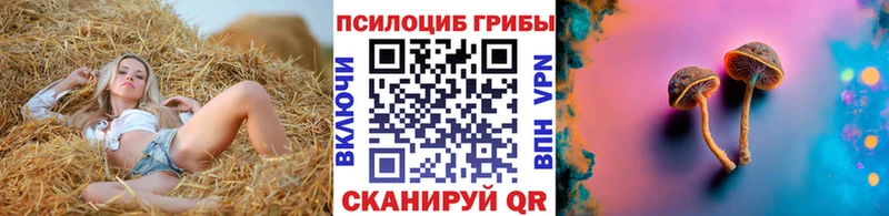 Псилоцибиновые грибы Magic Shrooms Кизел